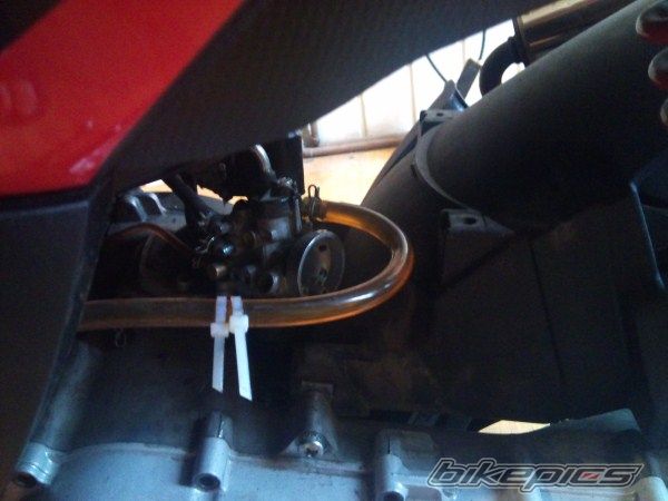 Photo 2425564