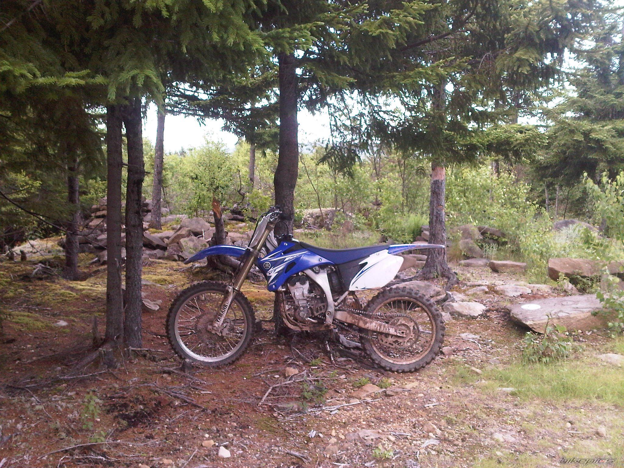 Photo 2425607