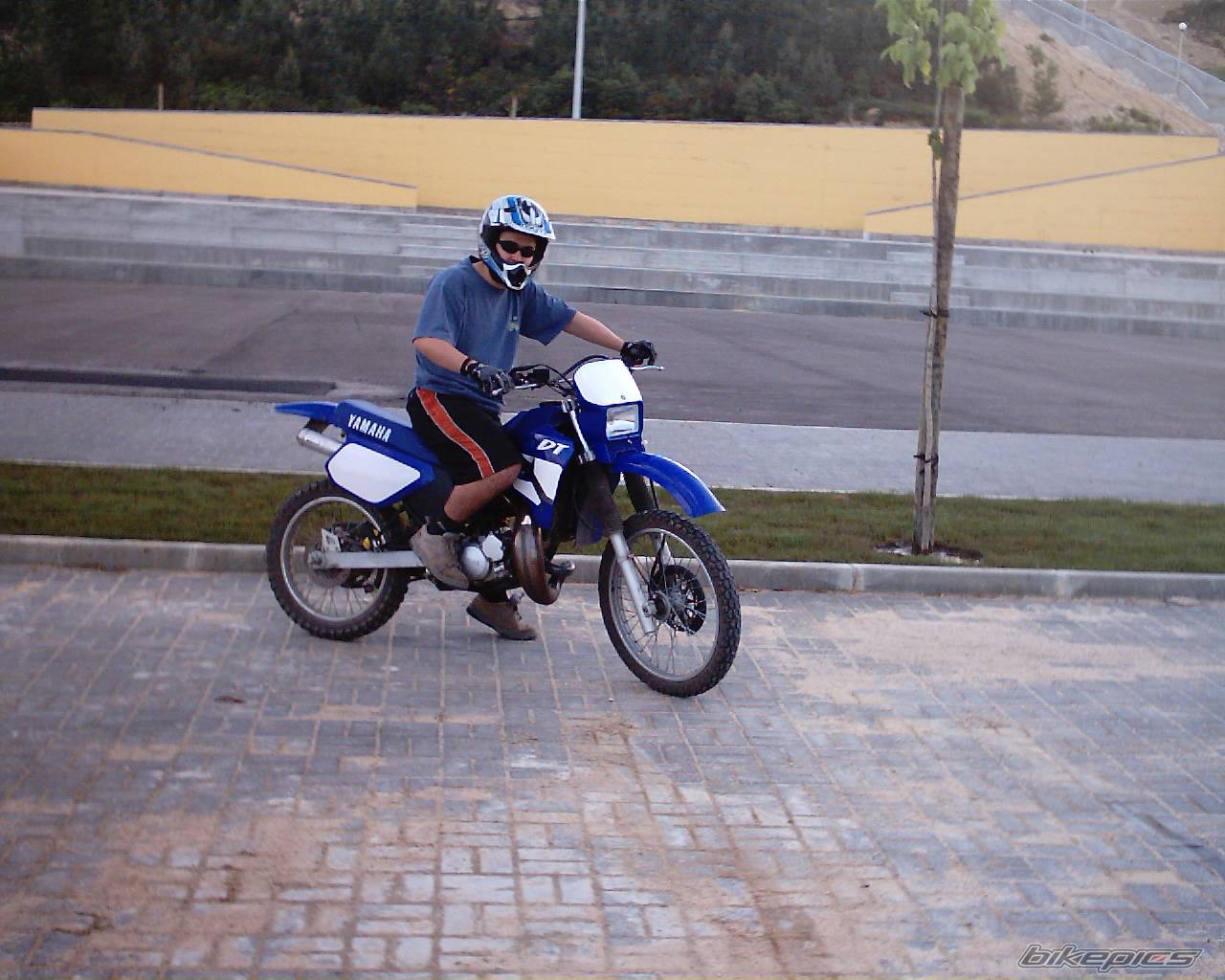 Photo 242579