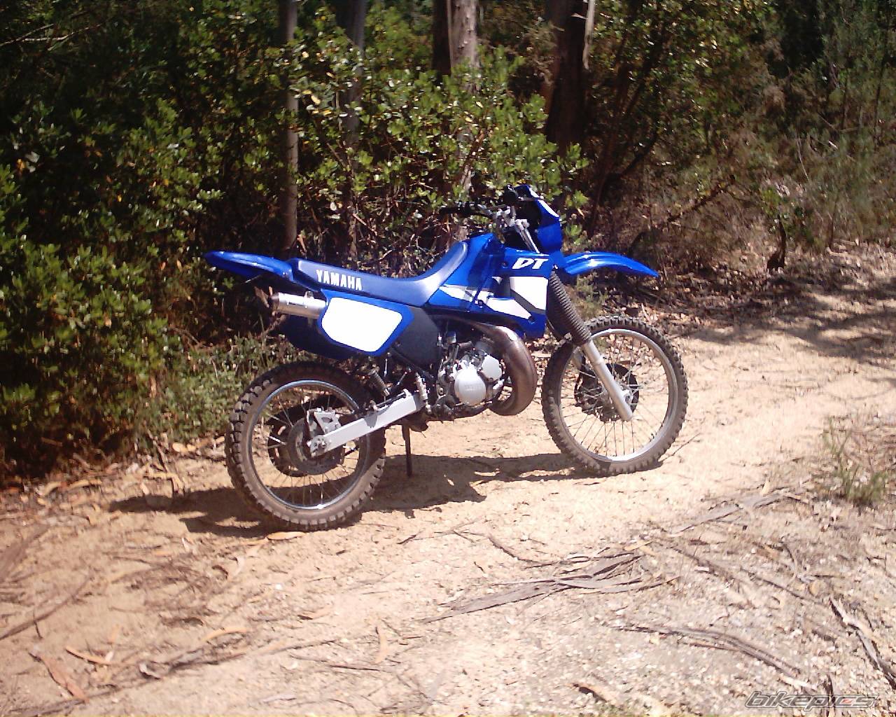 Bike Photo 242583