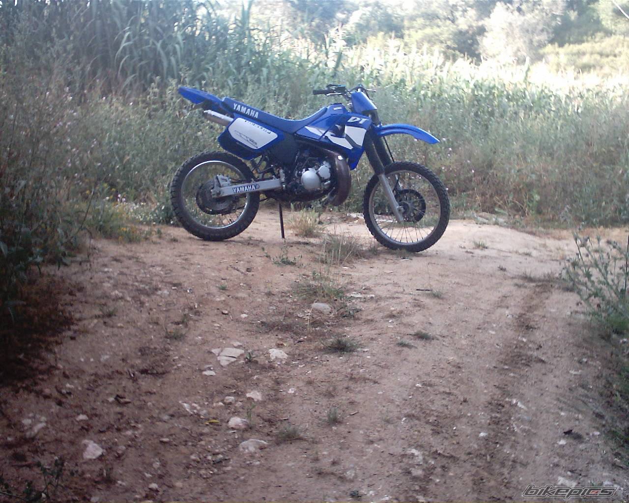 Photo 242584
