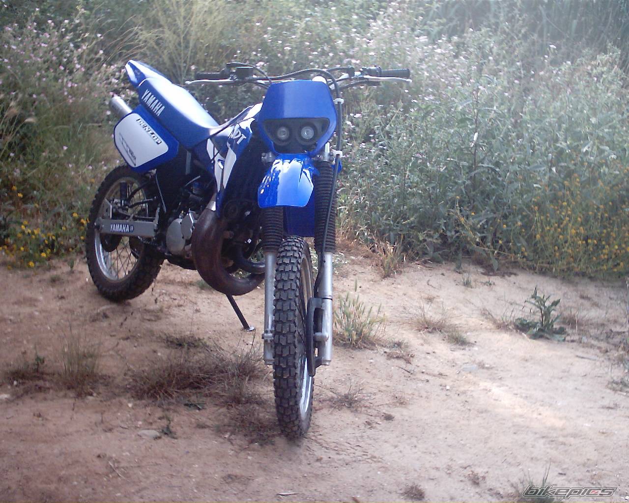 Bike Photo 242585