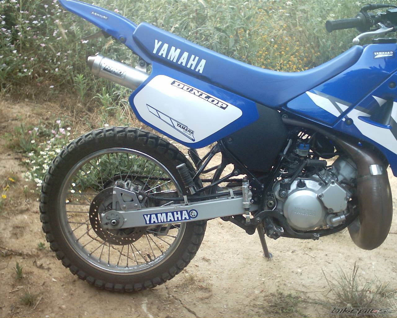 Bike Photo 242586