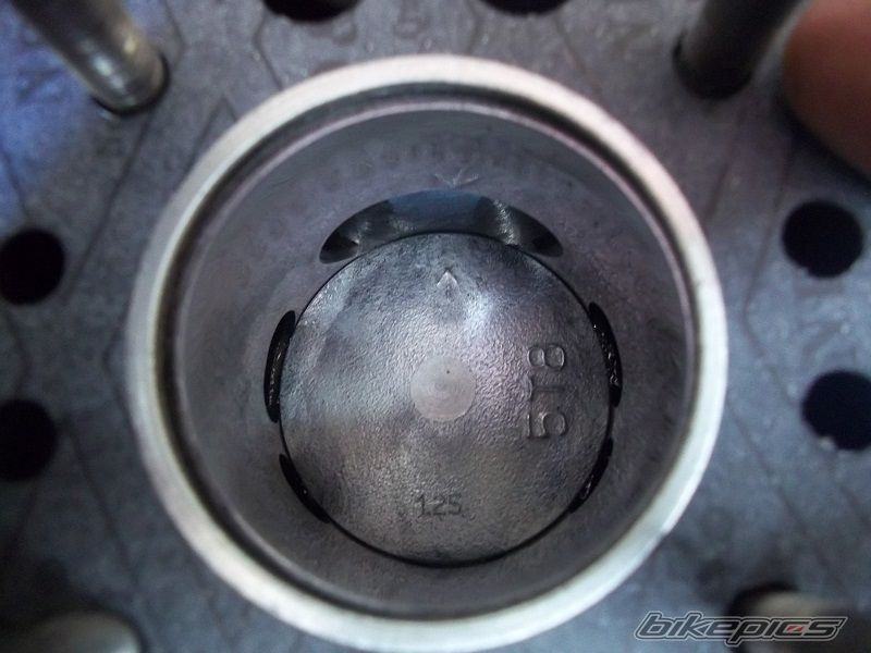 Photo 2425913