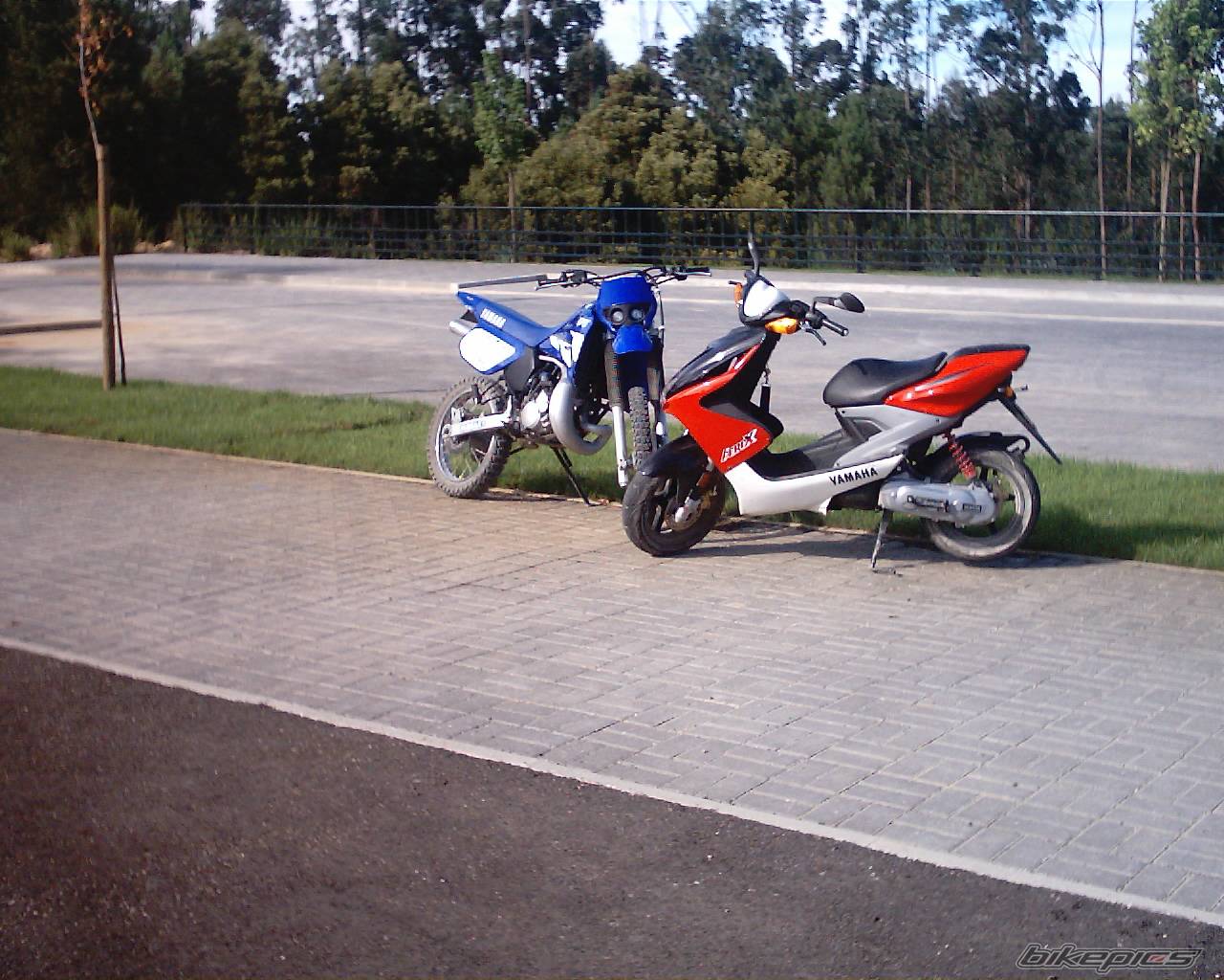 Photo 242594