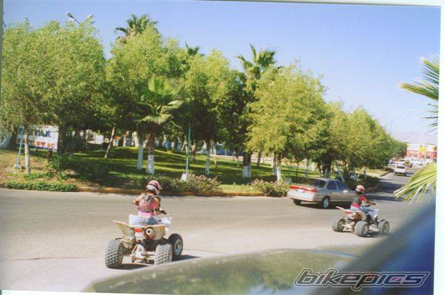 Bike Photo 242595