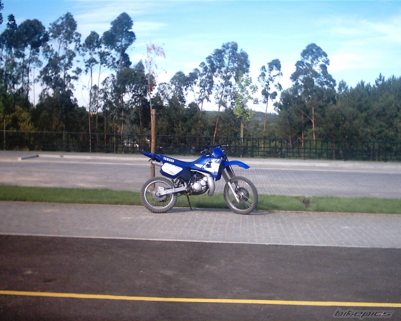 Bike Photo 242596