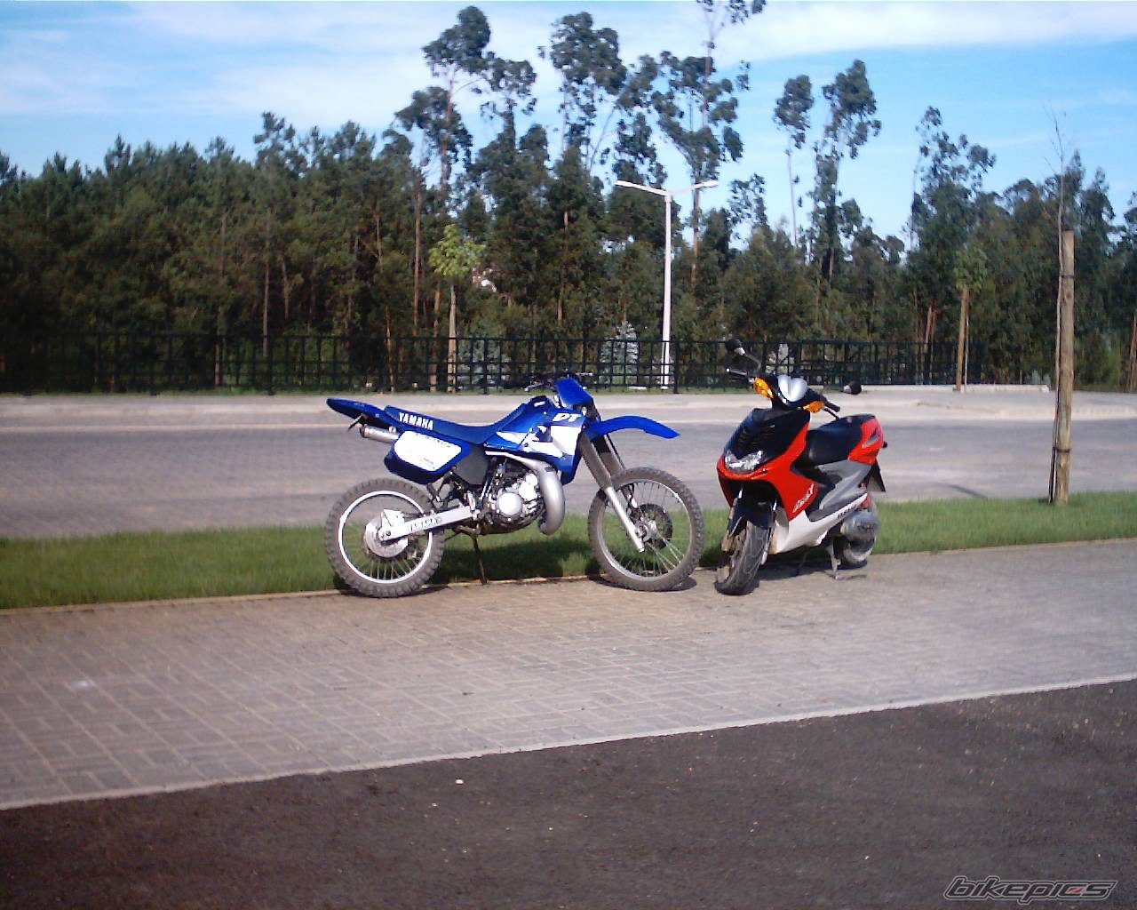 Bike Photo 242597