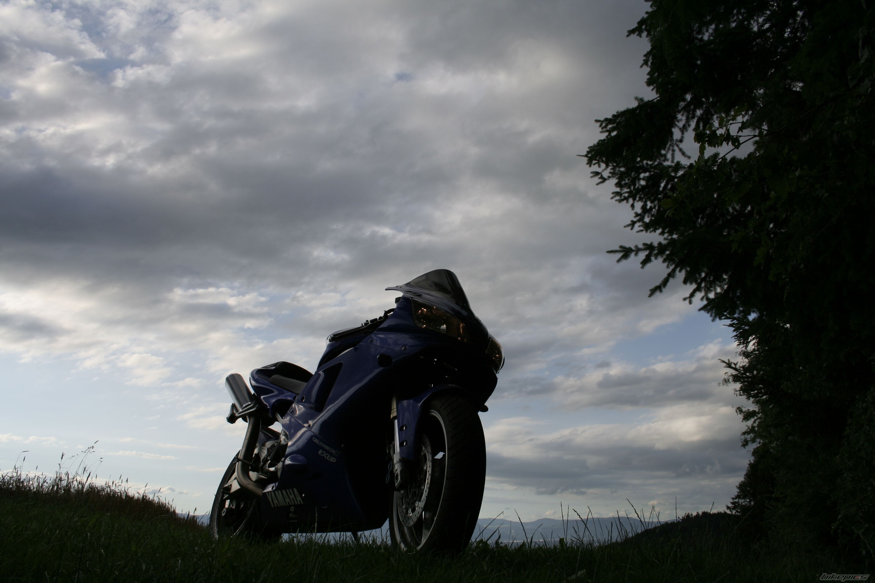 Photo 2425991