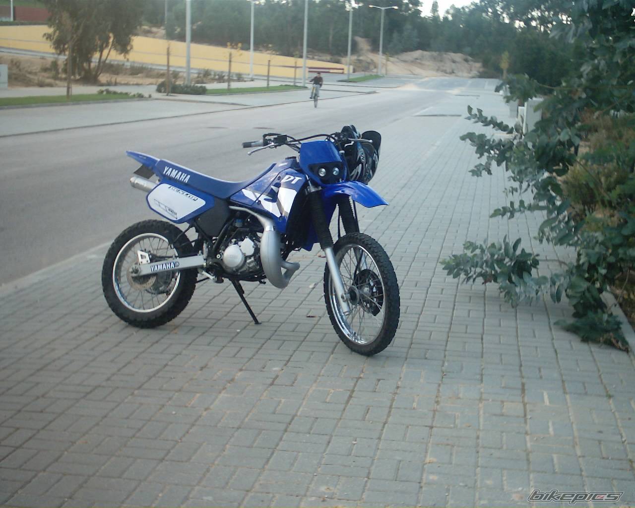 Photo 242606