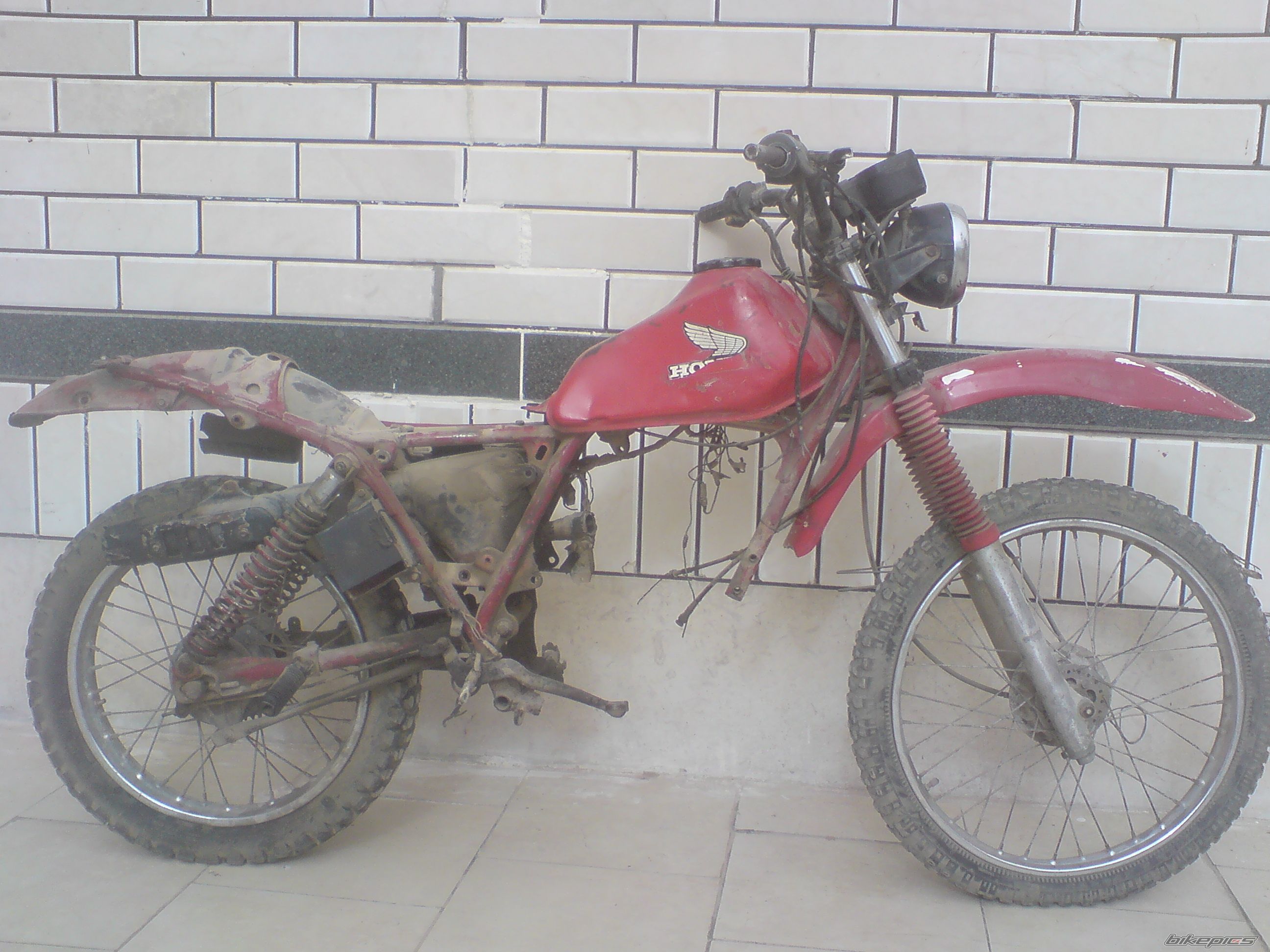 Photo 2426240