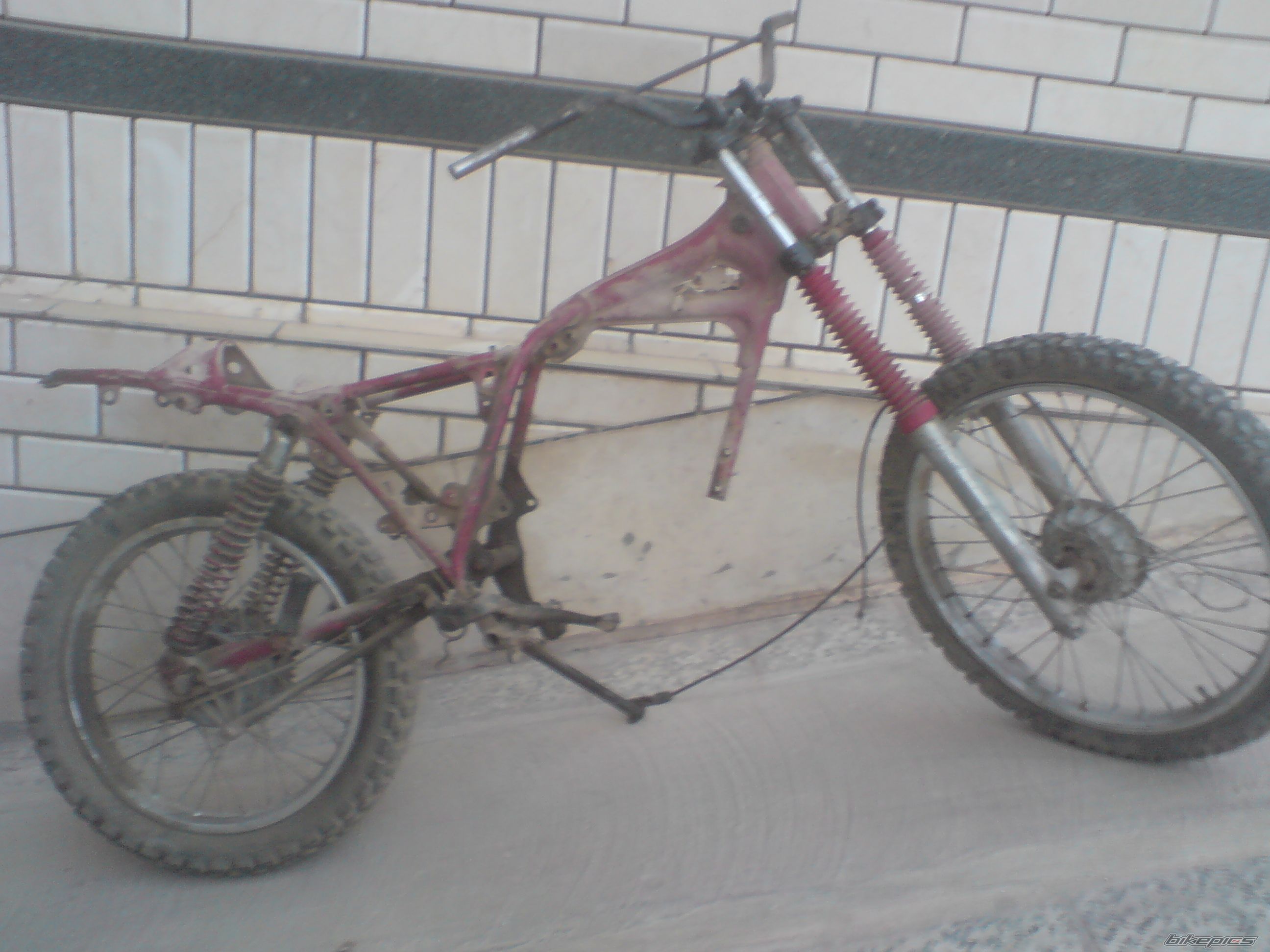Photo 2426249