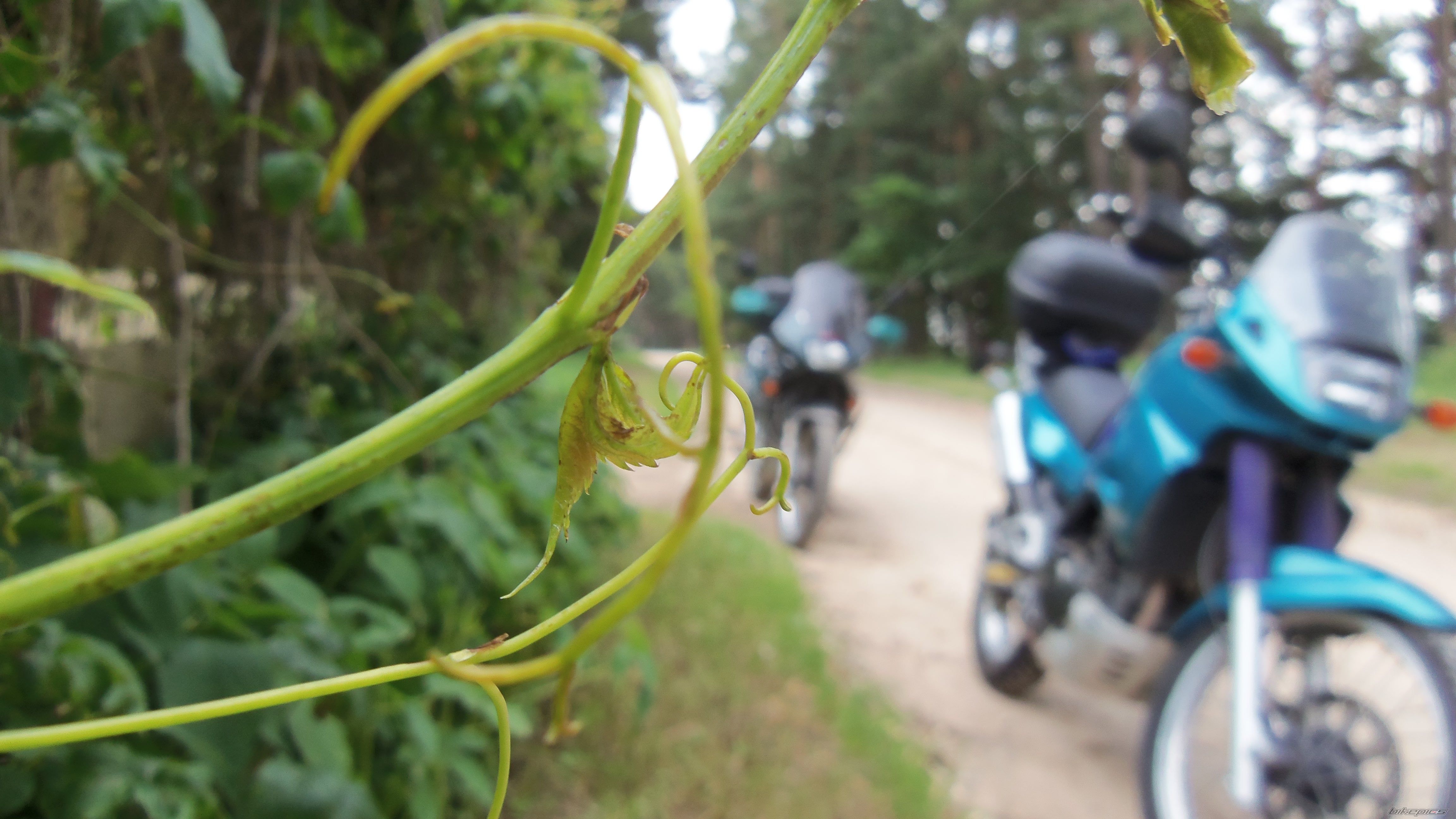 Bike Photo 2426299