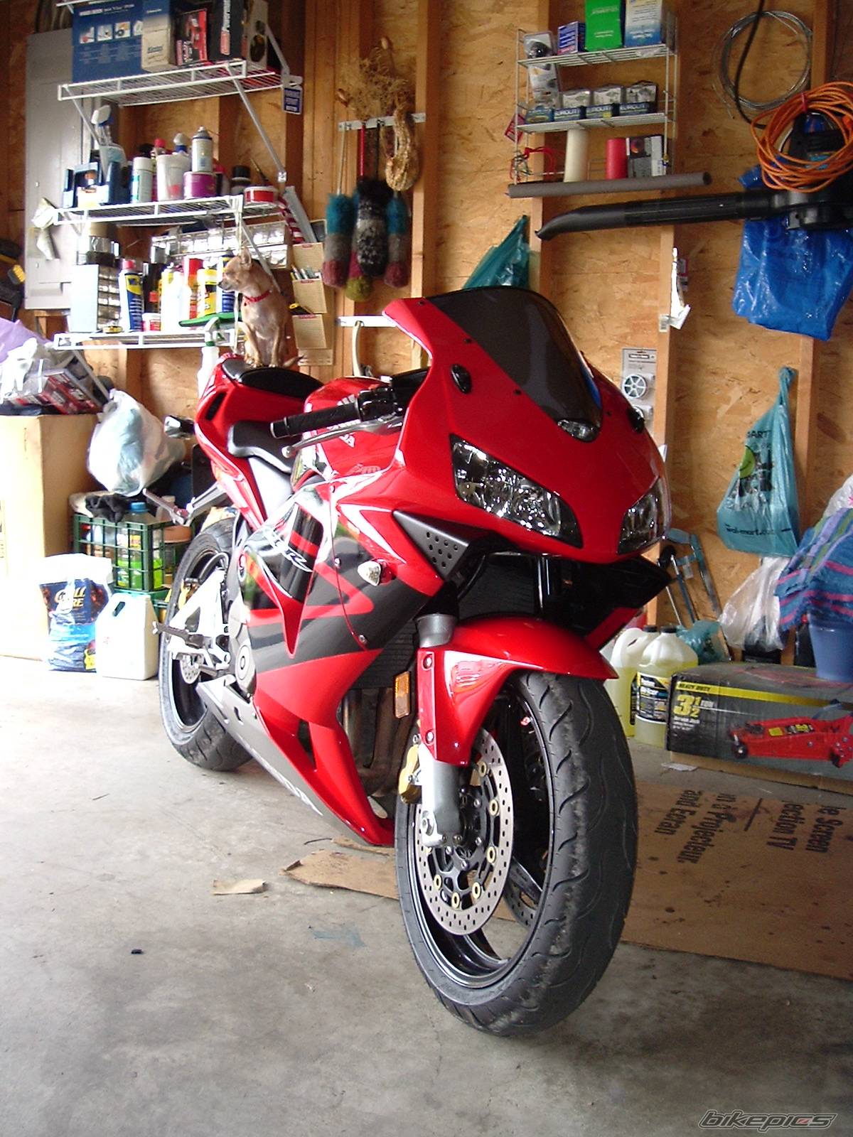Bike Photo 242630