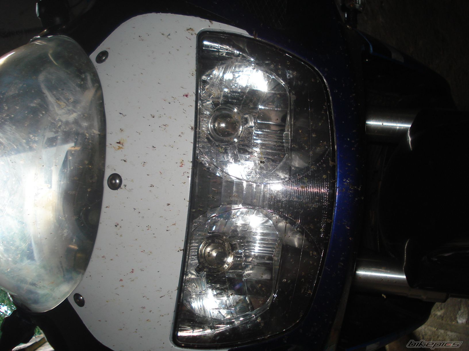 Photo 2426318