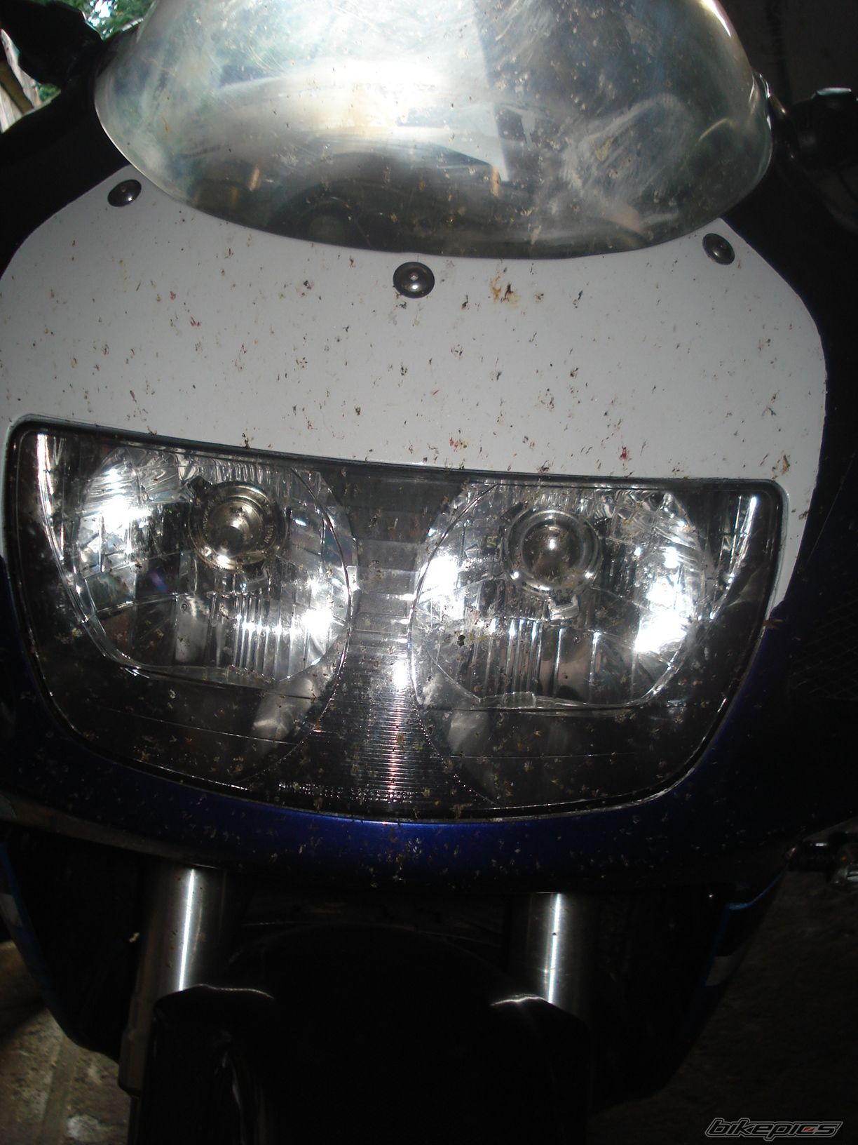 Photo 2426319