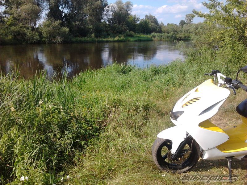 Photo 2426379
