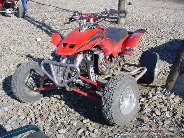 Photo 242641
