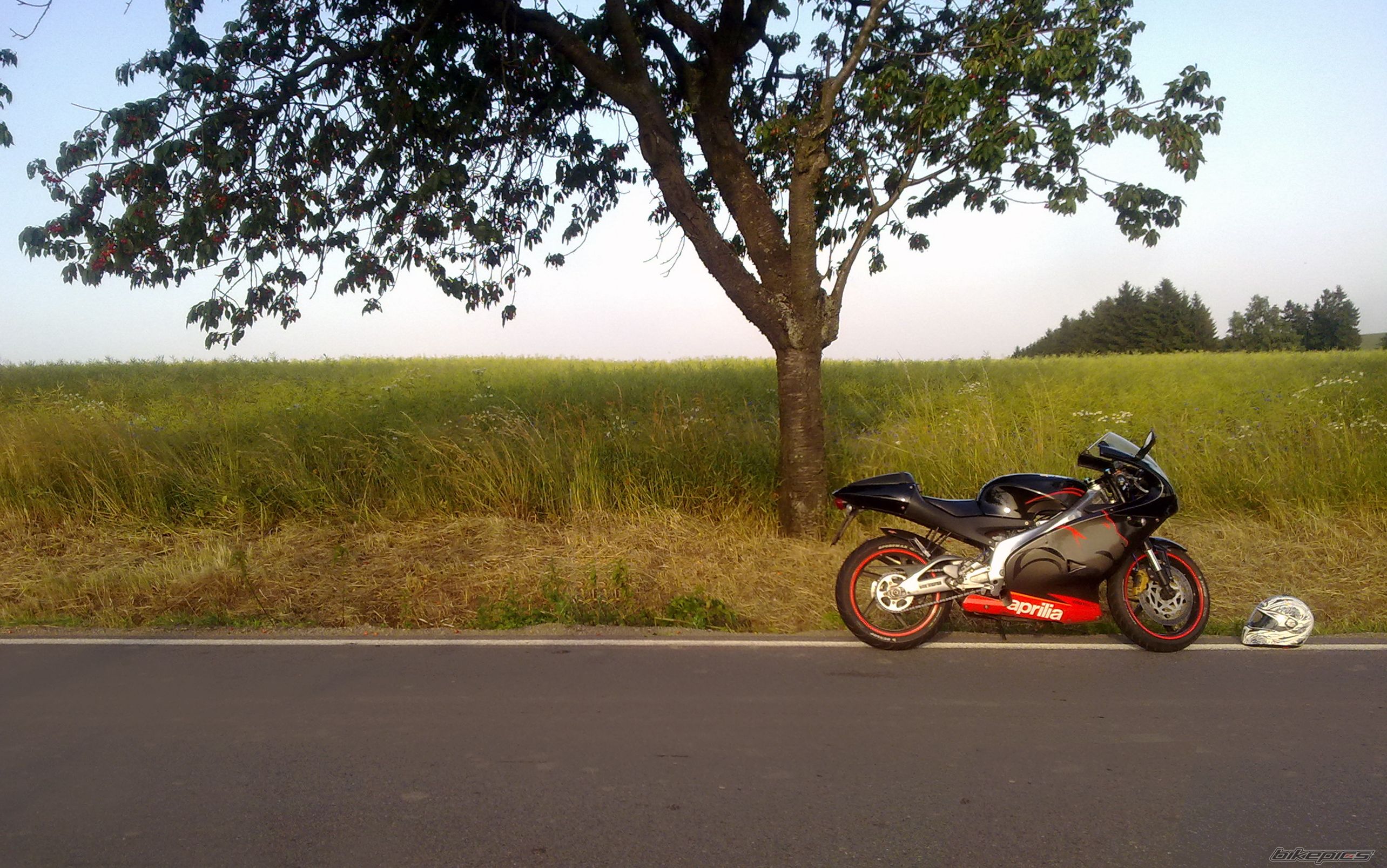 Photo 2426428
