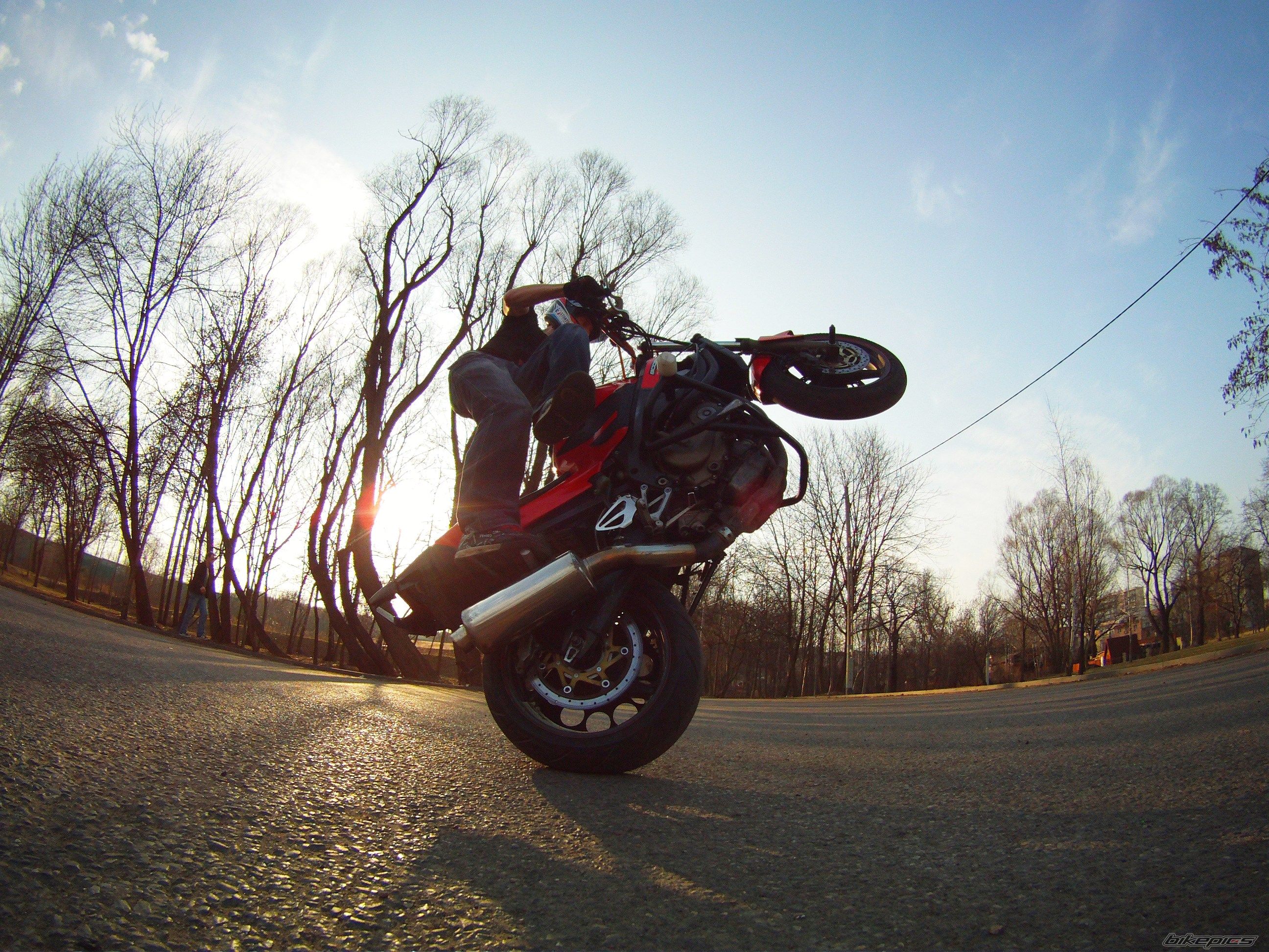 Photo 2426439