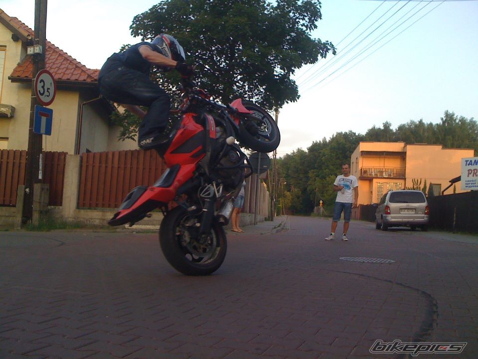 Photo 2426440