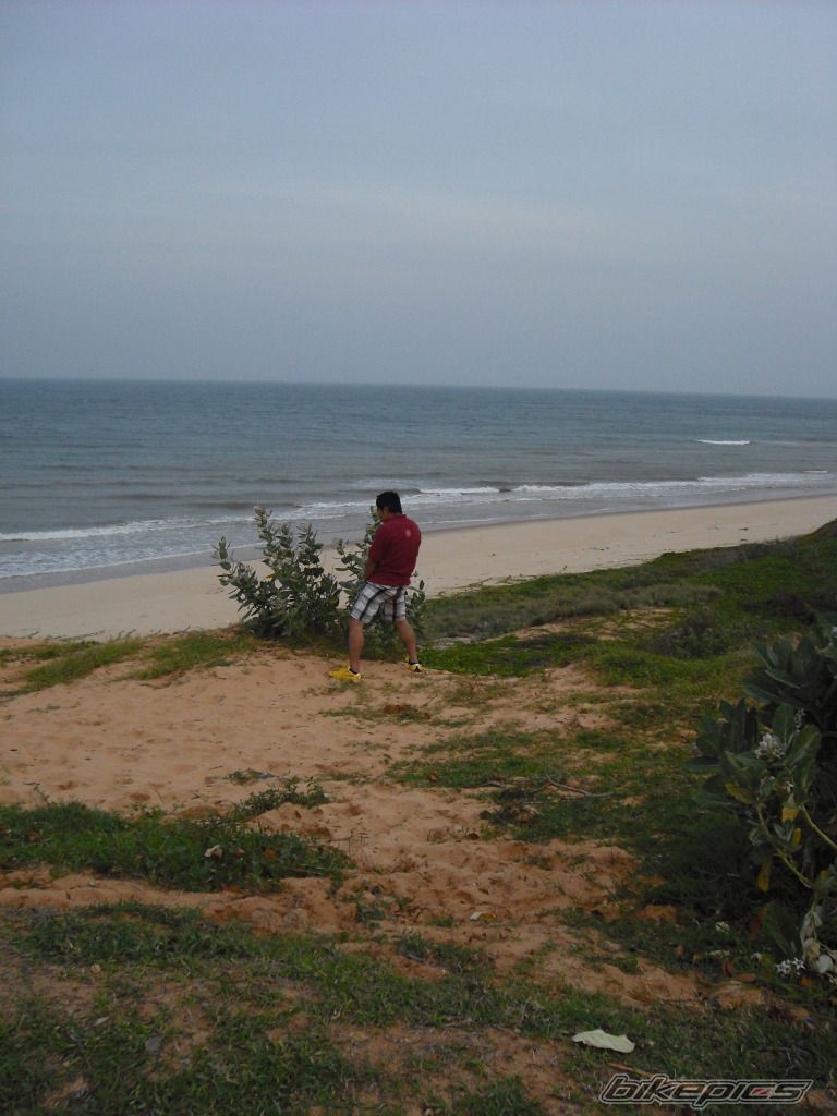 Photo 2426476