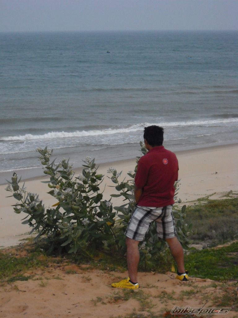 Photo 2426477