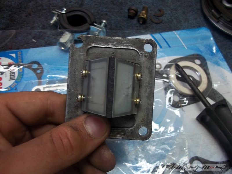 Photo 2426608