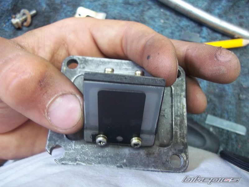 Photo 2426611