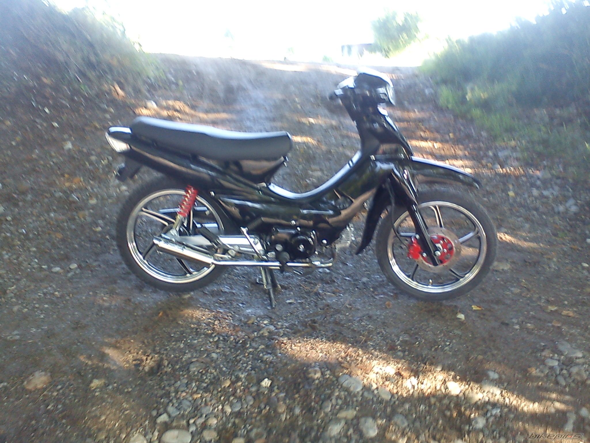 Photo 2426682