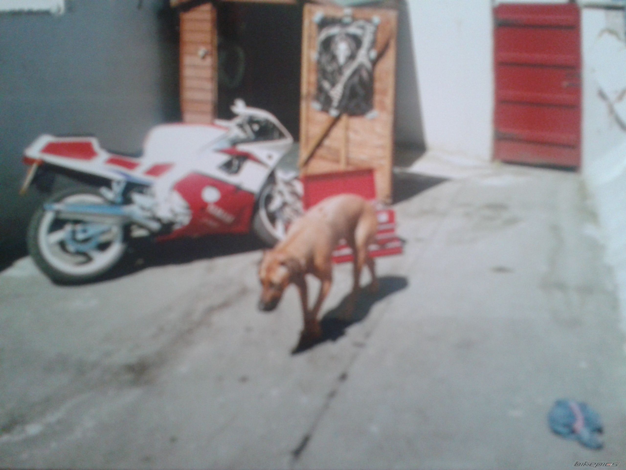 Photo 2426691
