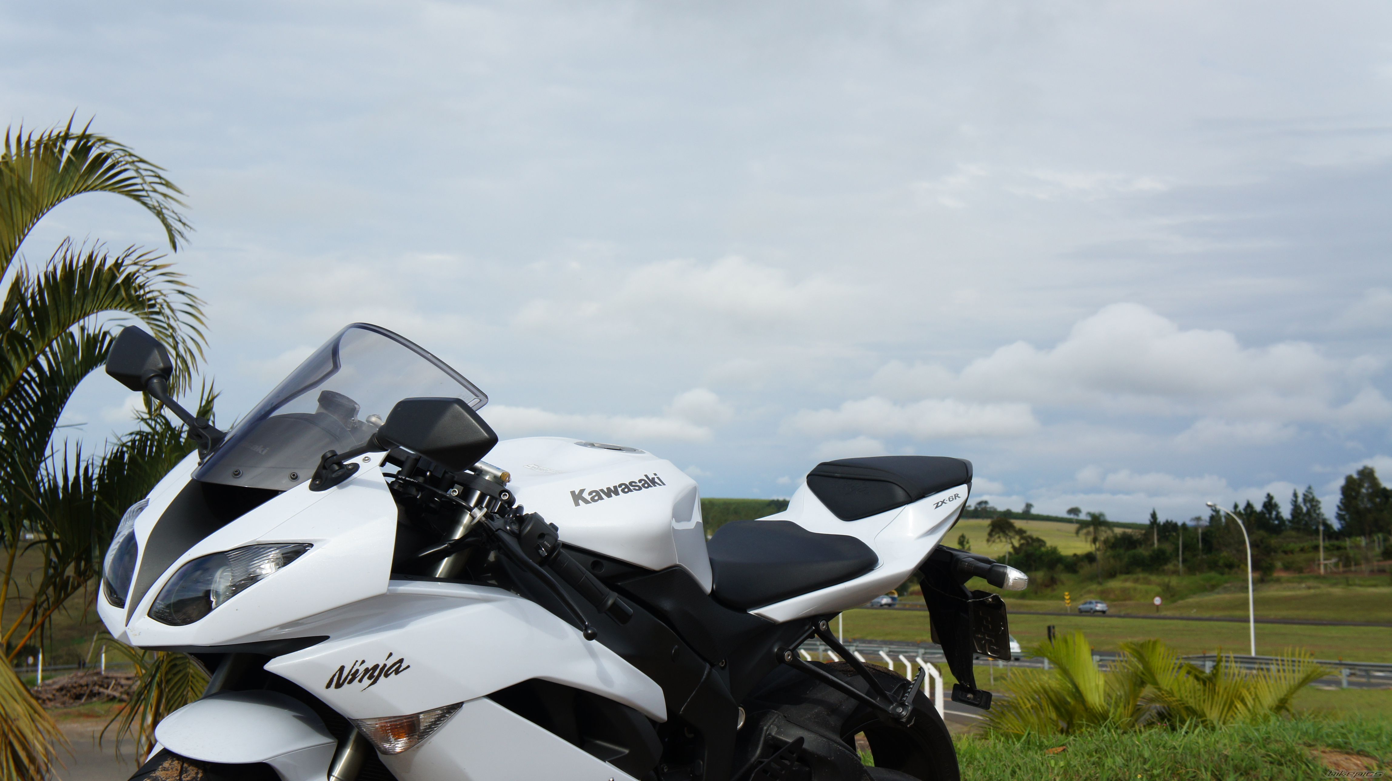 Photo 2426793