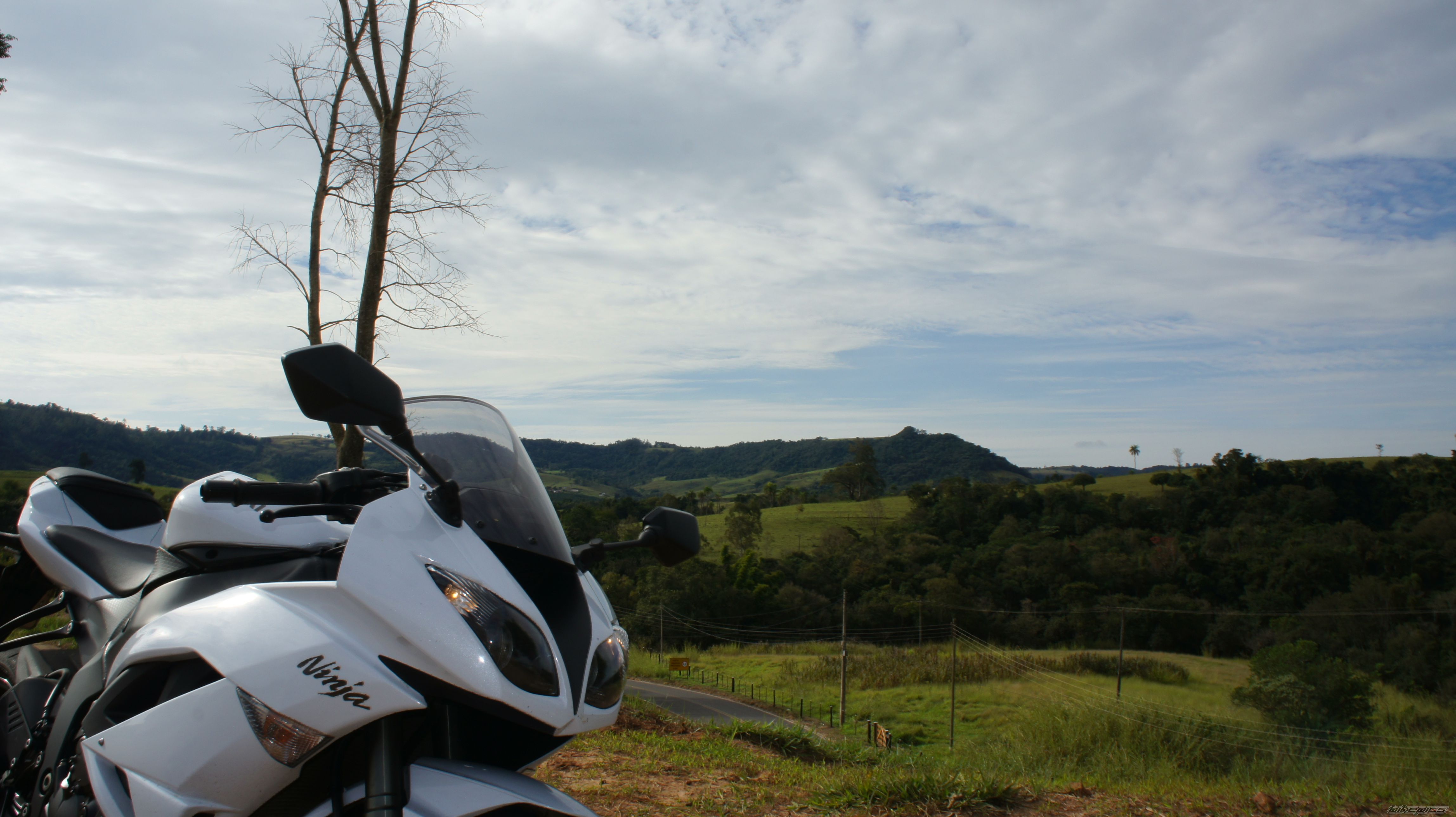 Photo 2426795