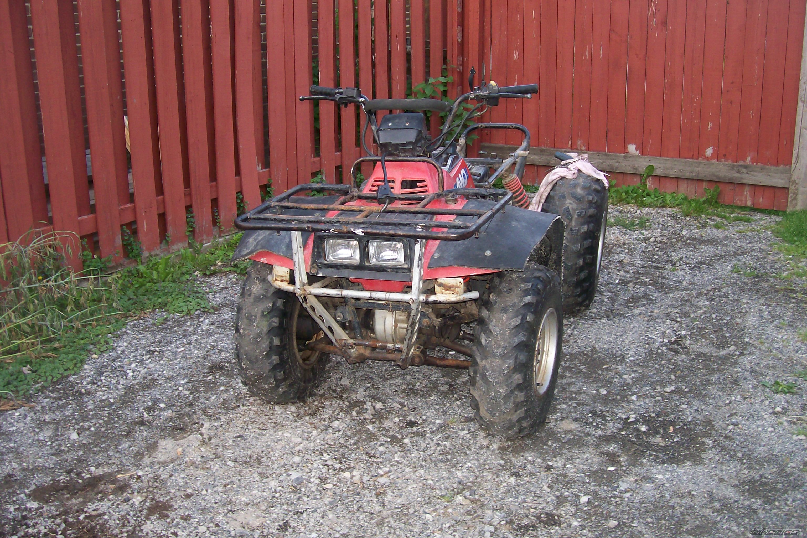 Photo 2426869