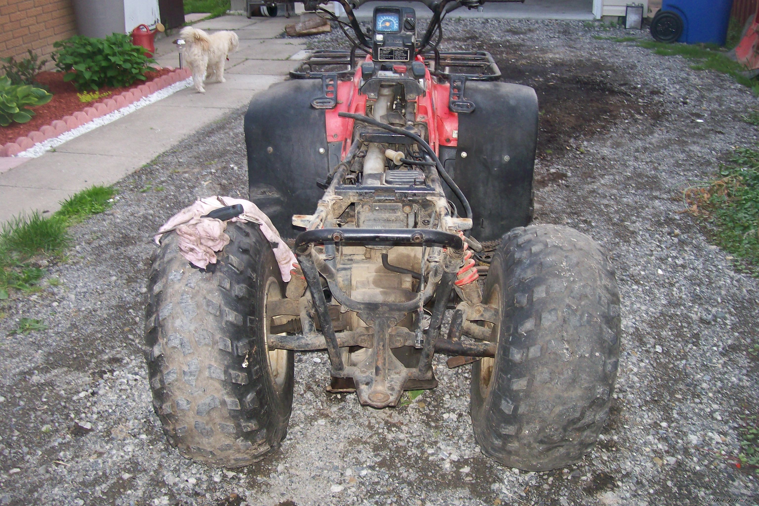 Photo 2426871