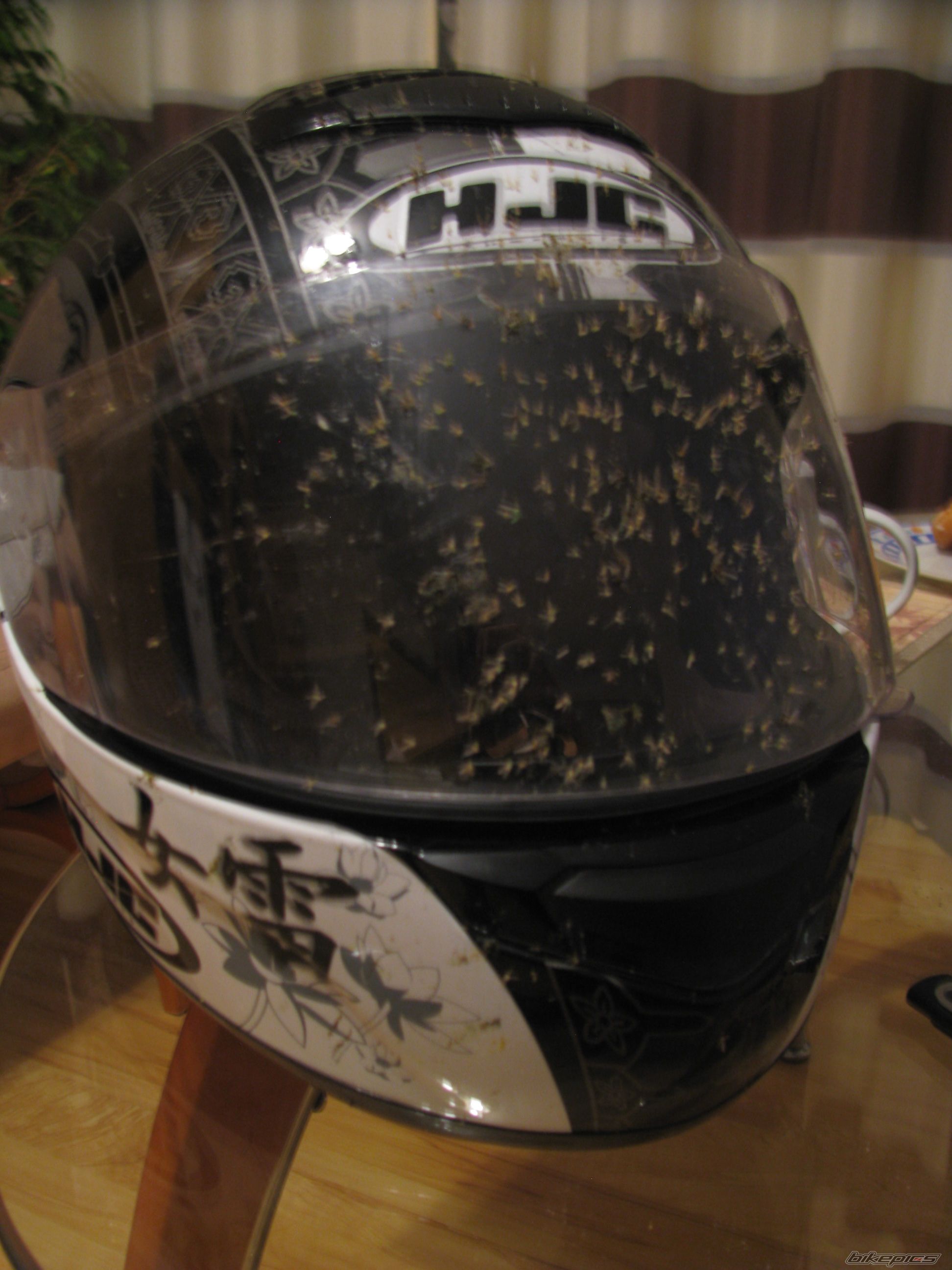 Photo 2426954