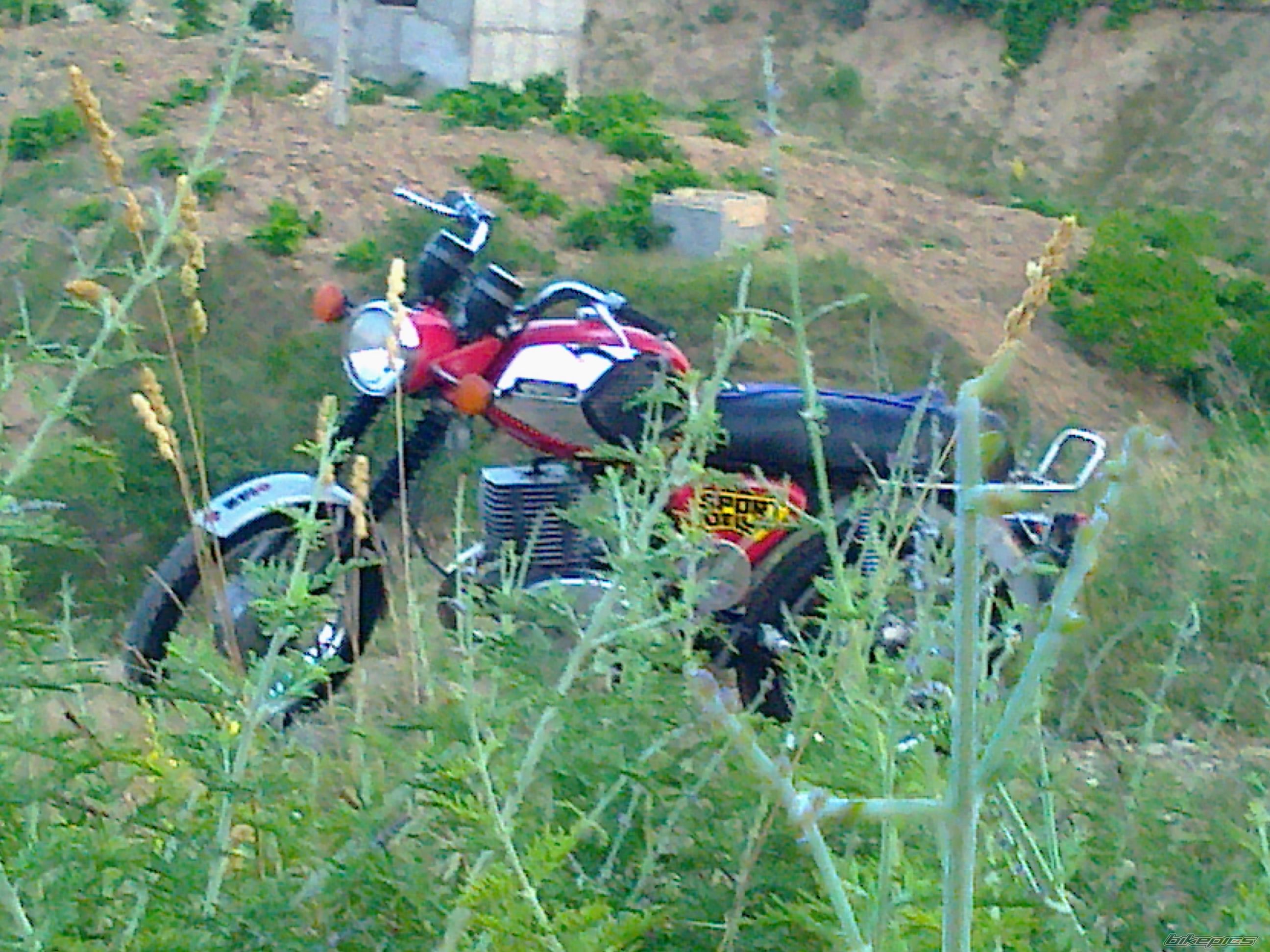 Photo 2426958