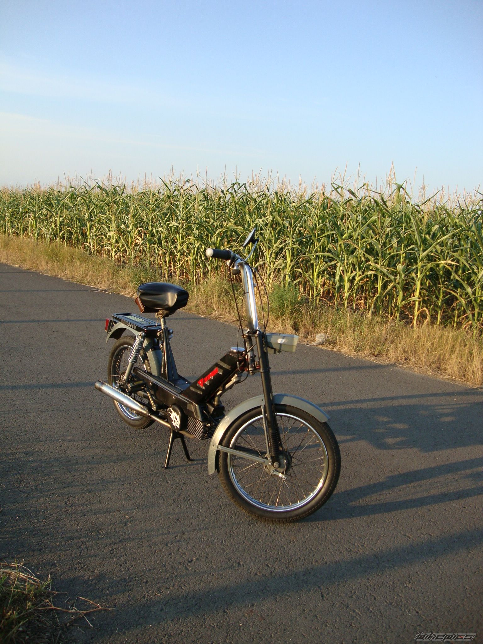 Photo 2427261