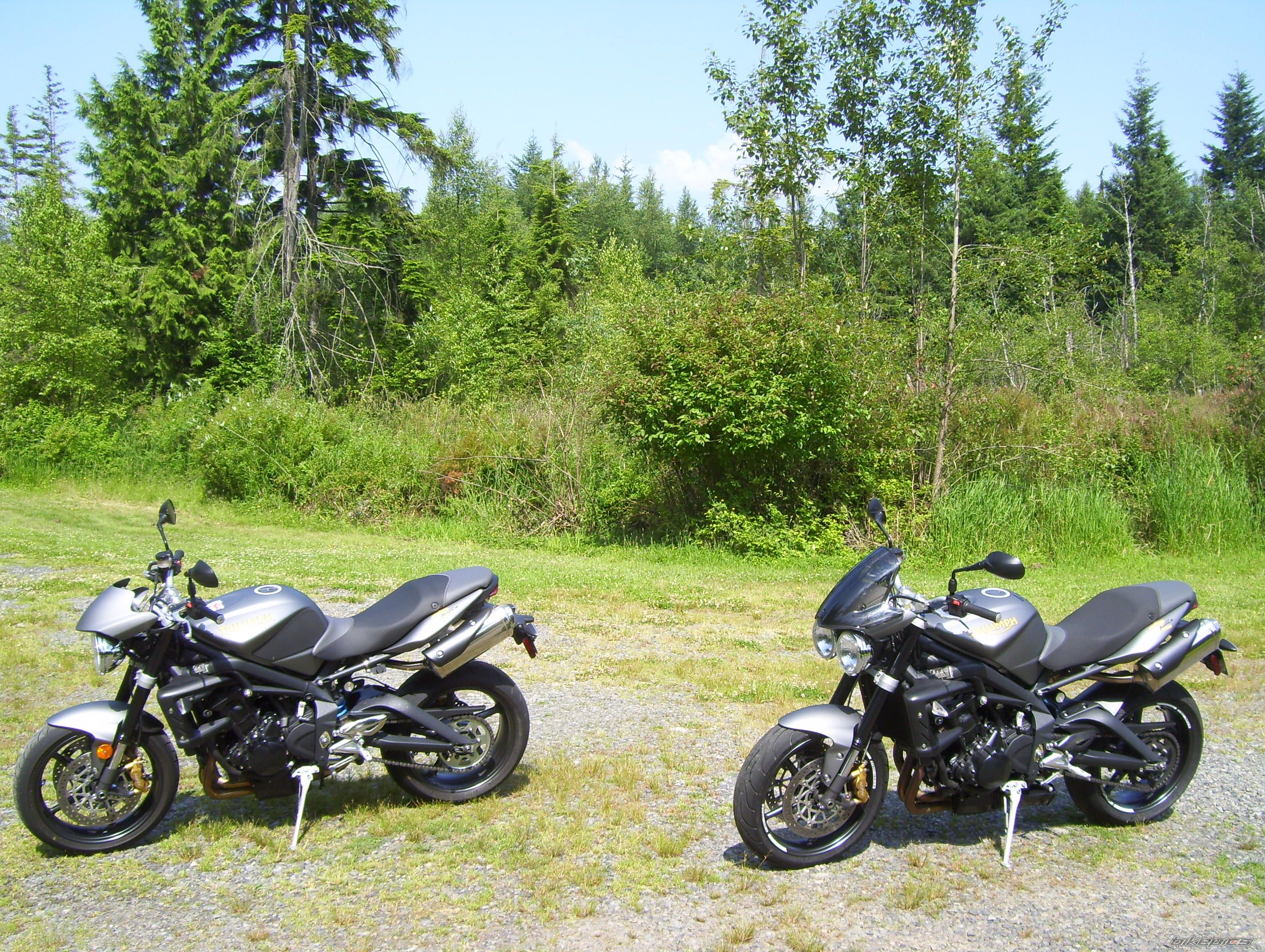 Photo 2427450