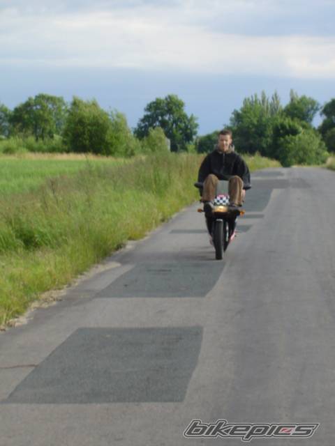 Photo 242746