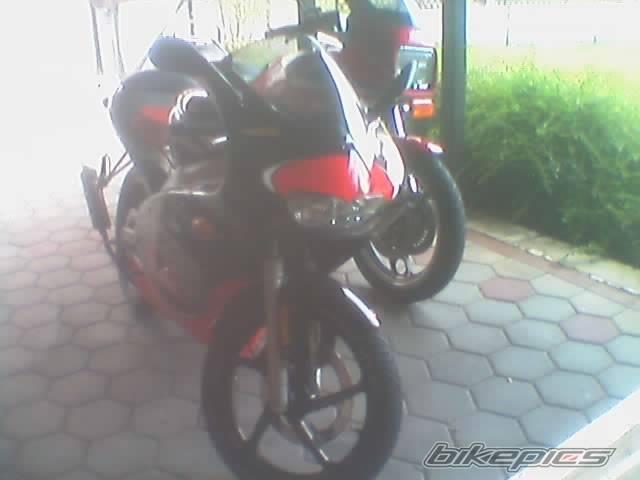 Photo 242761