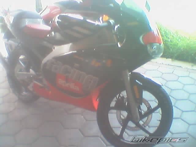Photo 242762