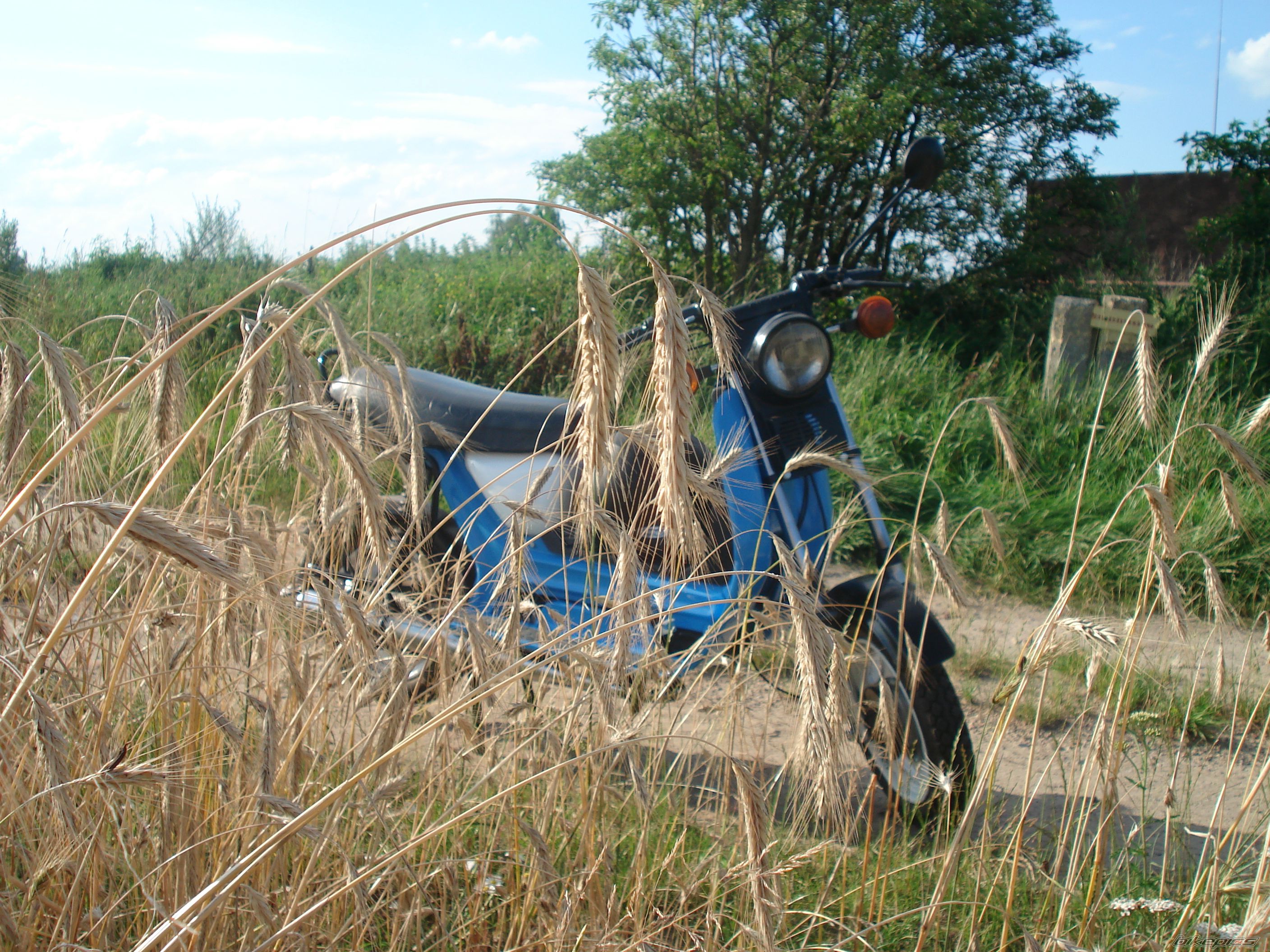 Bike Photo 2427752