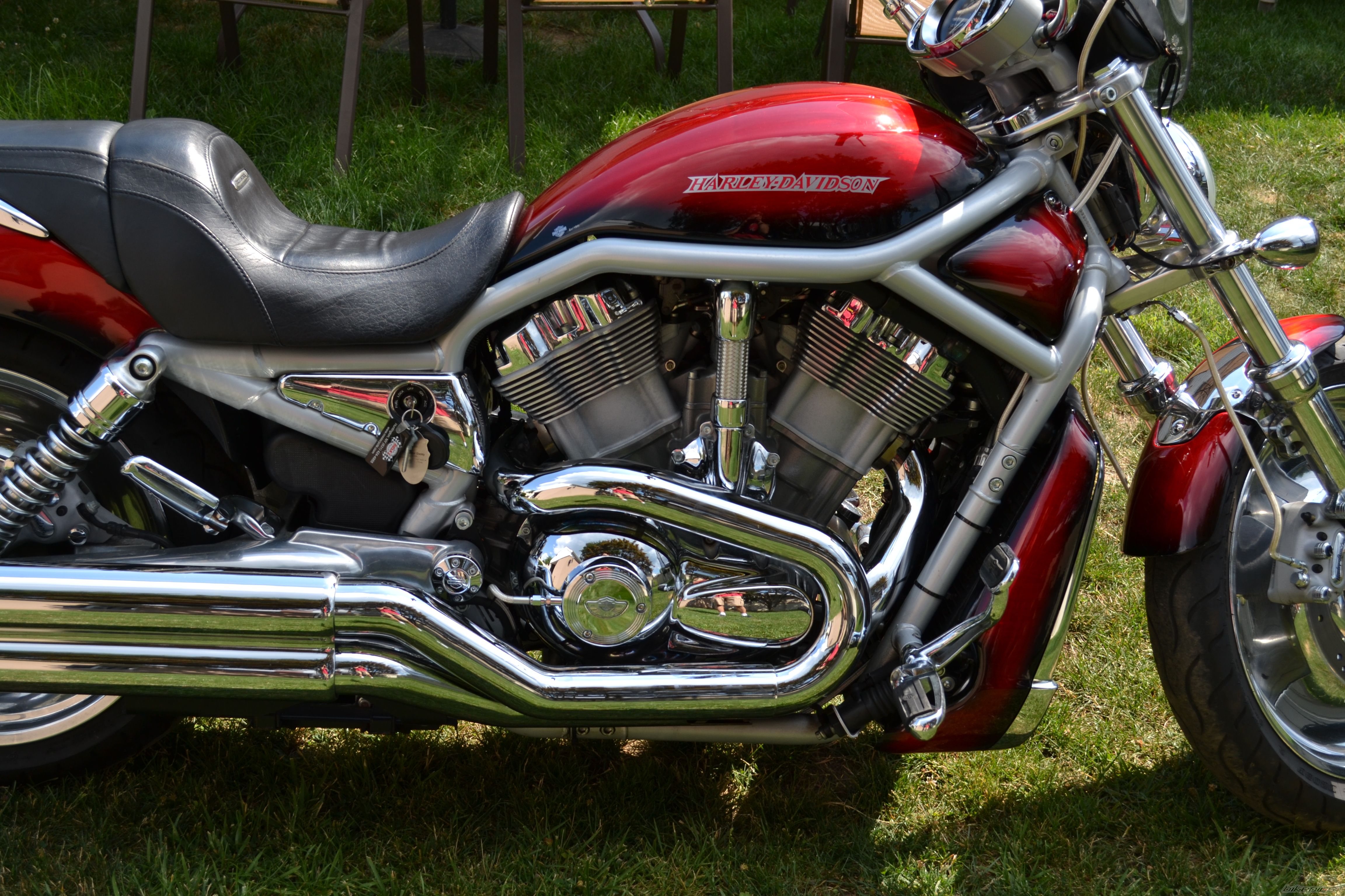 Photo 2427787