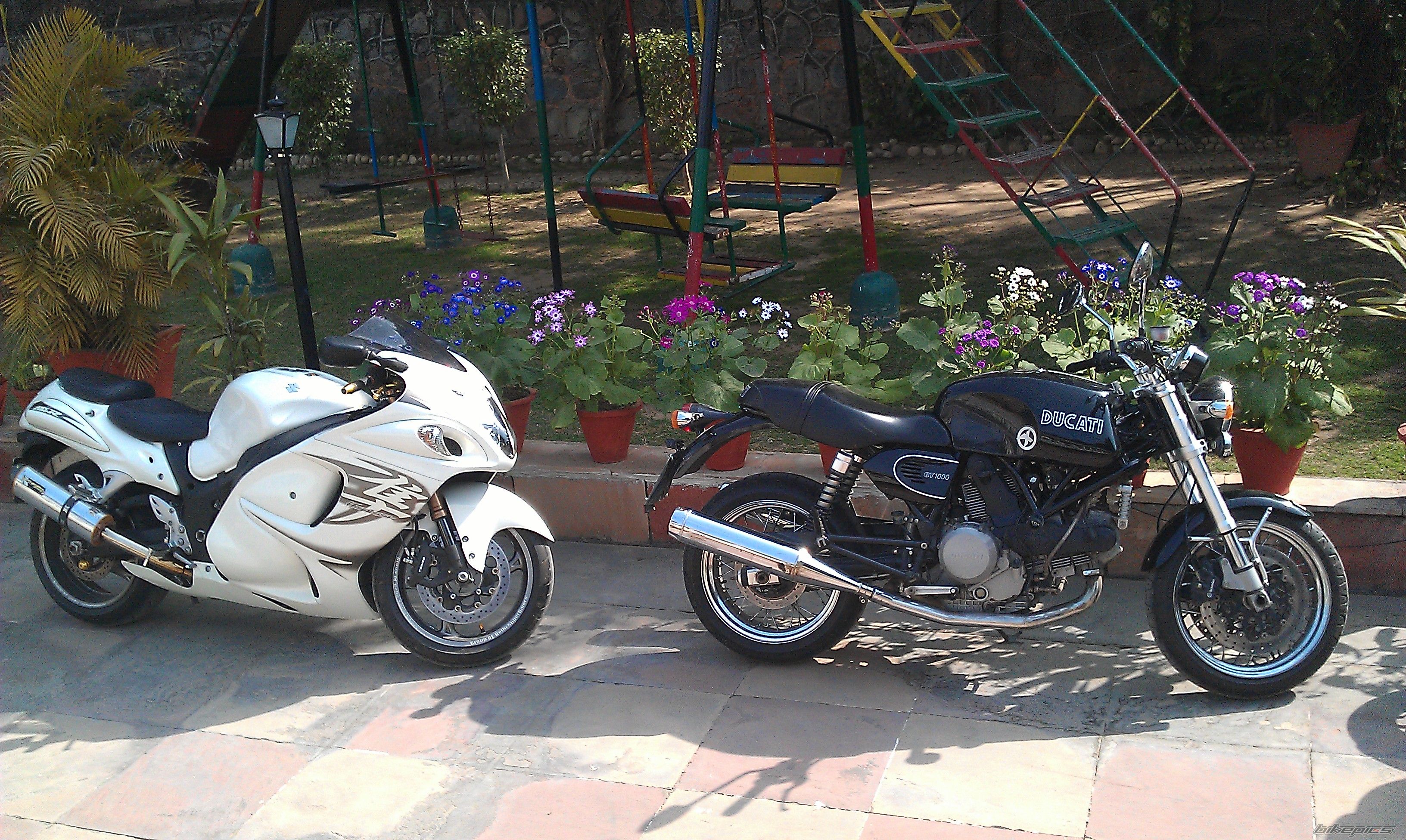 Photo 2427829