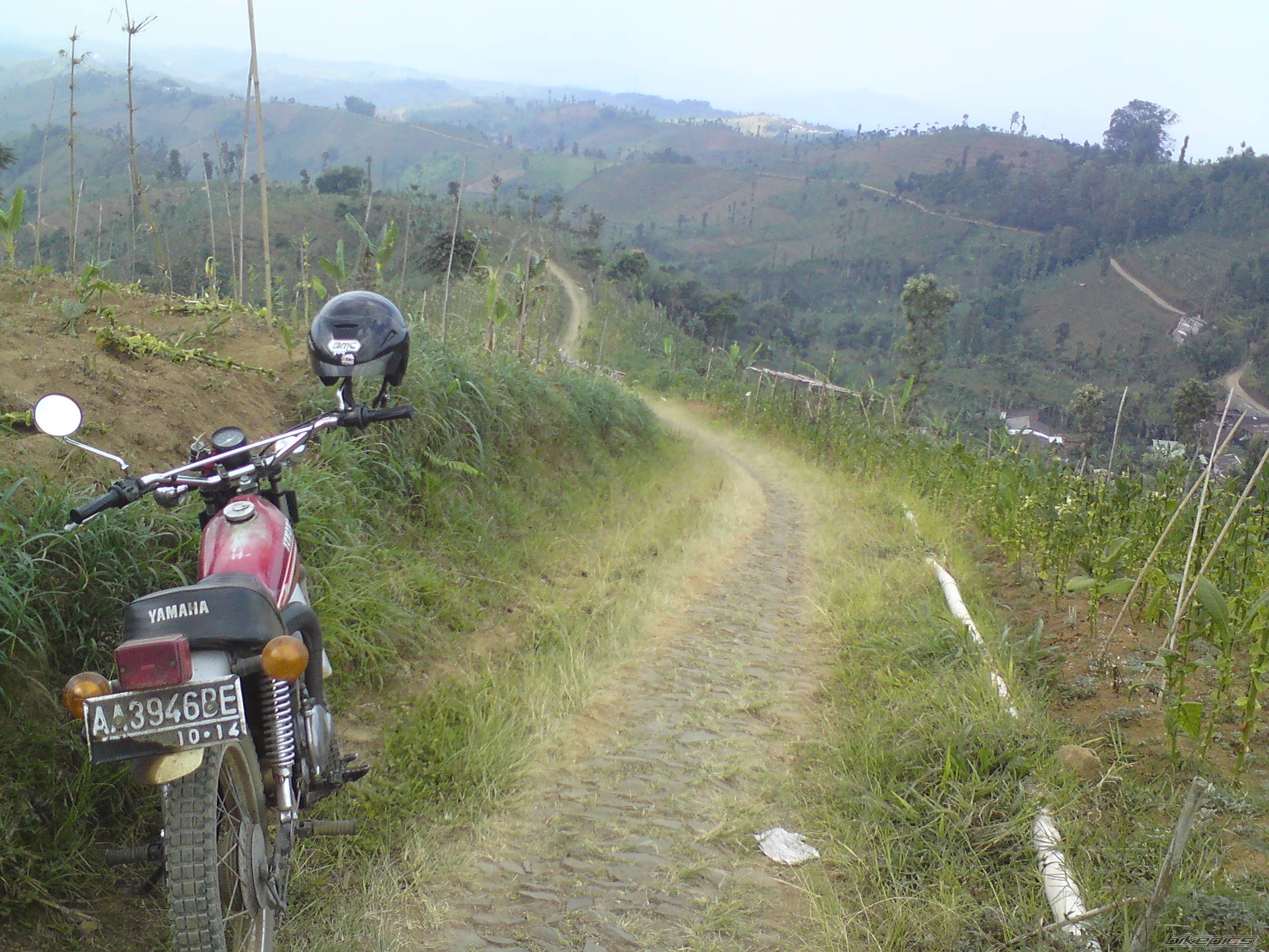 Photo 2427872