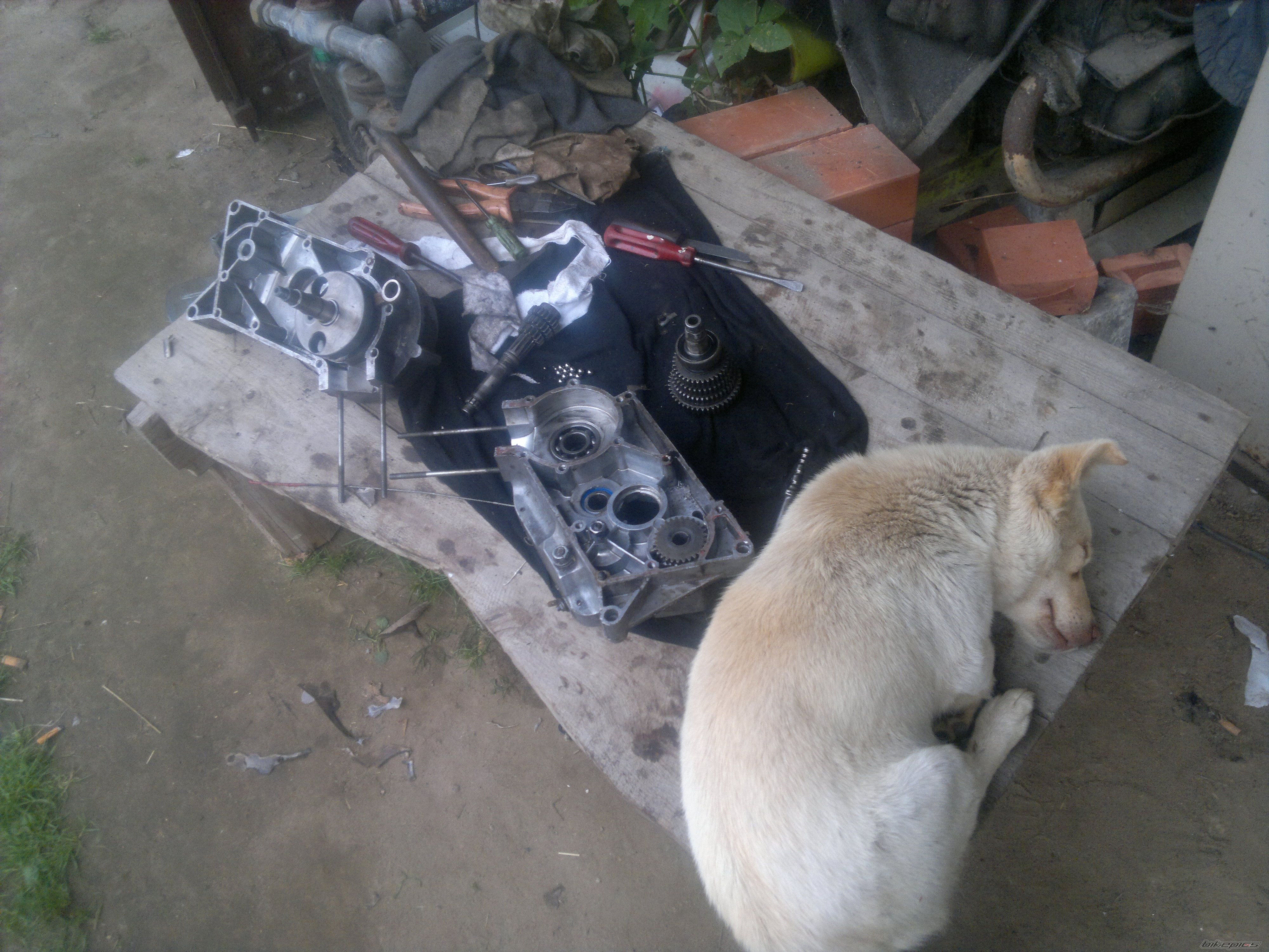 Bike Photo 2428026