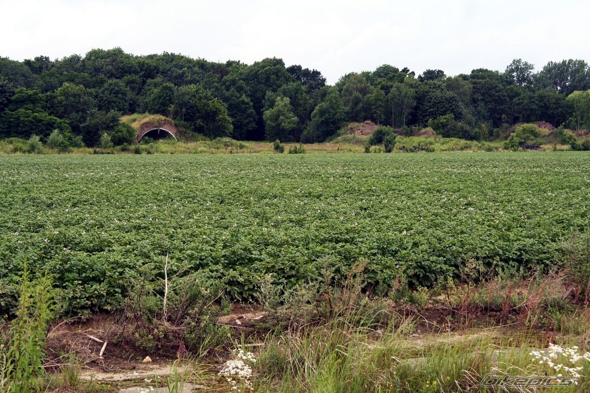 Photo 2428118