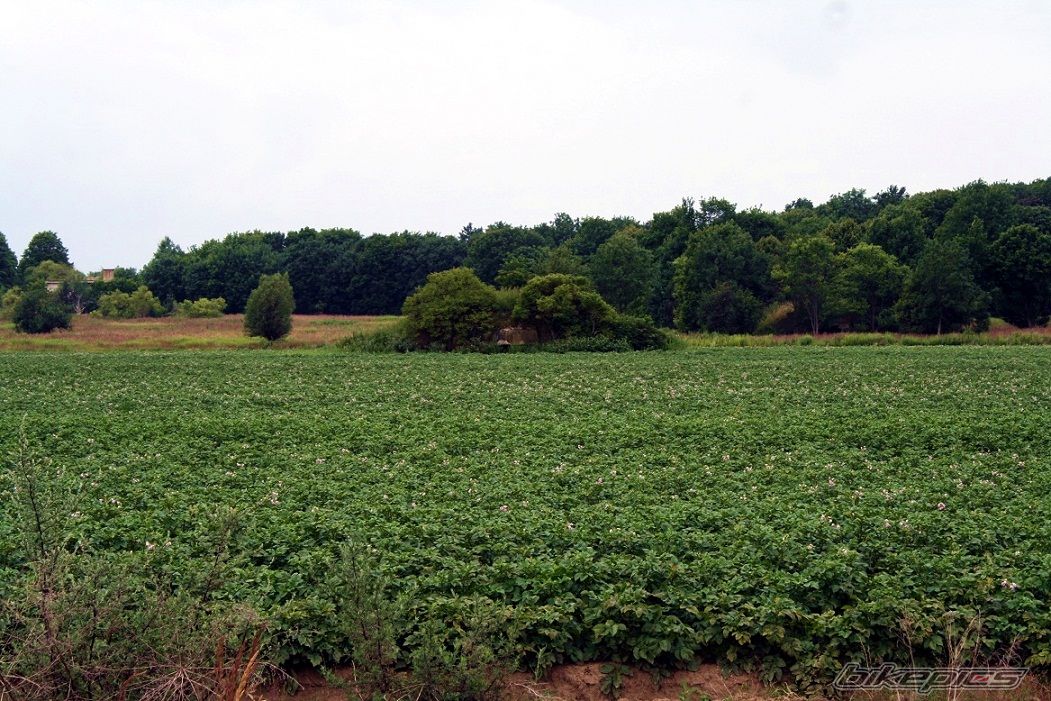 Photo 2428119
