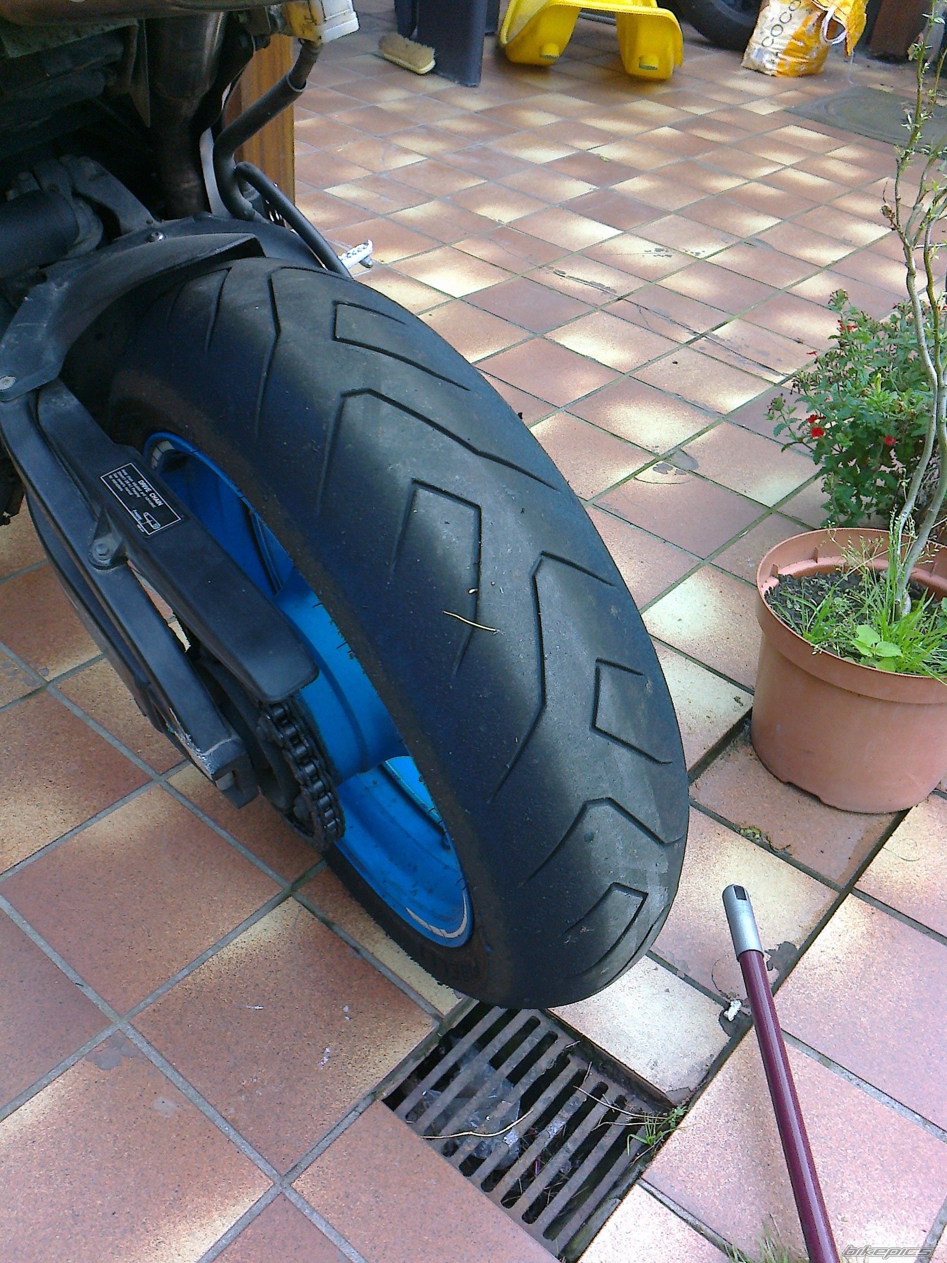 Photo 2428154